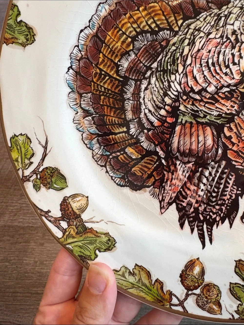 Pier 1 Autumn Oak Turkey Luncheon Salad Plates Earthenware 9